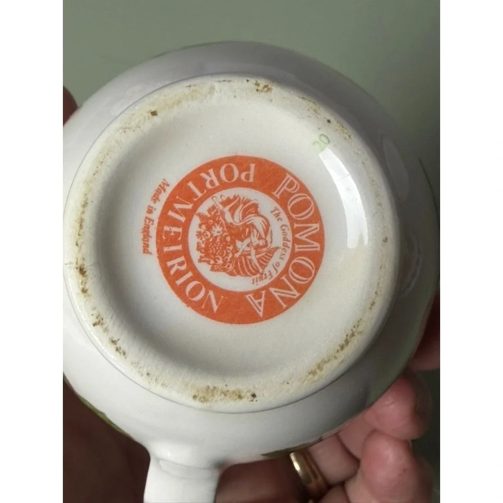 Portmeirion Pomona Mini Planter Saucer Creamer Pitcher 3 Pc Set England VTG